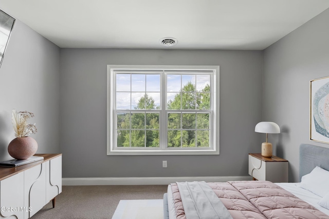 11 Kasey Pass, Ballston, NY 12020 - photo 16