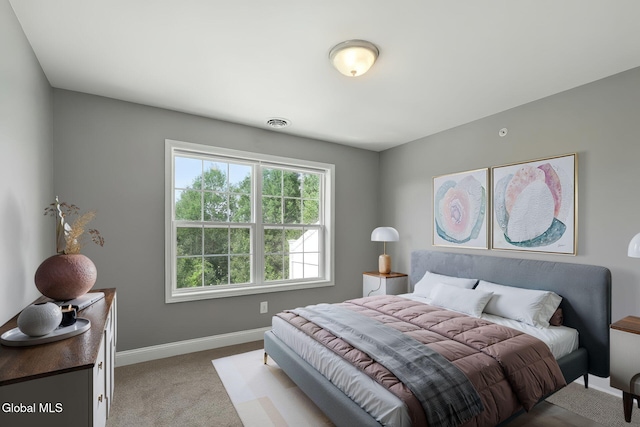 11 Kasey Pass, Ballston, NY 12020 - photo 17