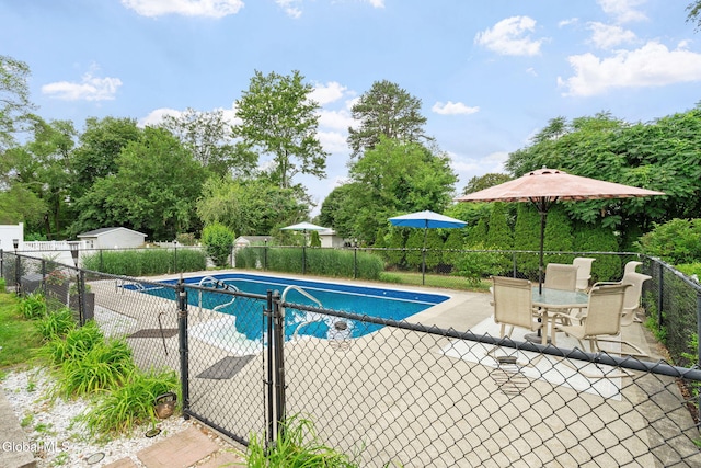 27 Terry Ave, Guilderland, NY 12303 - view of swimming pool with a patio