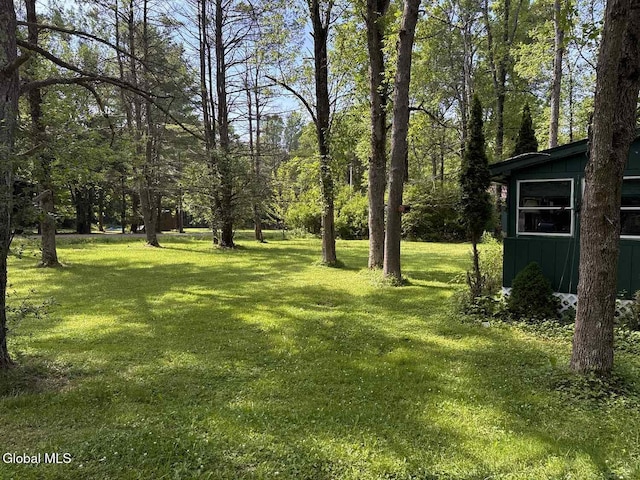 48 Spruce Ave, Willsboro, NY 12996 - photo 3