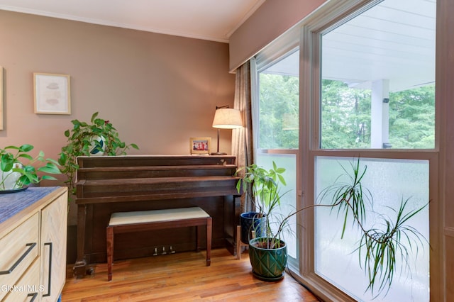 909 Ash Tree Ln, Niskayuna, NY 12309 - living area with ornamental molding and light wood-style flooring