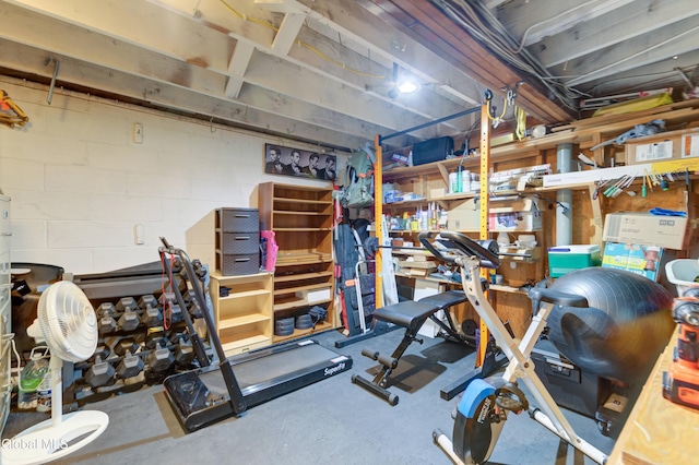 909 Ash Tree Ln, Niskayuna, NY 12309 - exercise room featuring concrete block wall