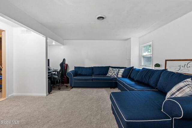 8 Cooks Ct, Halfmoon, NY 12188 - photo 17