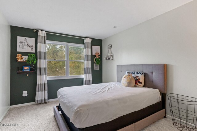 8 Cooks Ct, Halfmoon, NY 12188 - photo 20