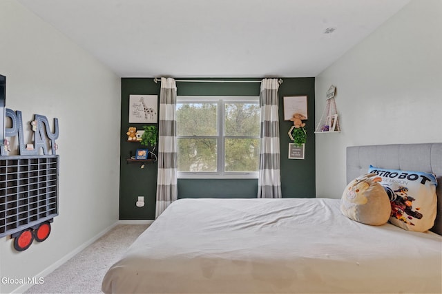 8 Cooks Ct, Halfmoon, NY 12188 - photo 21