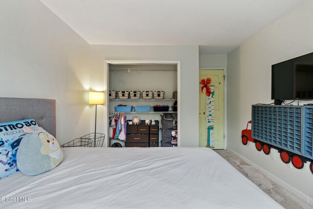 8 Cooks Ct, Halfmoon, NY 12188 - photo 22
