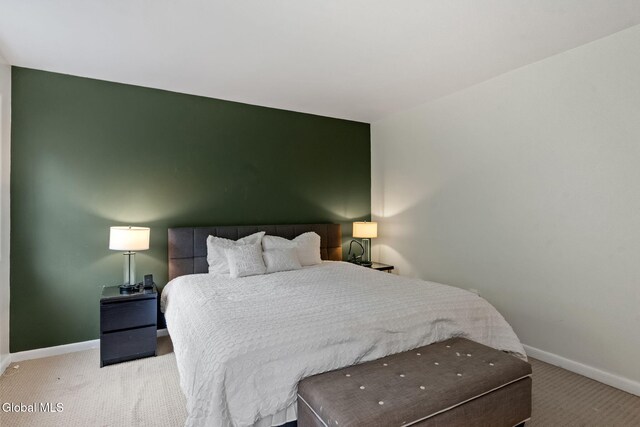 8 Cooks Ct, Halfmoon, NY 12188 - photo 18