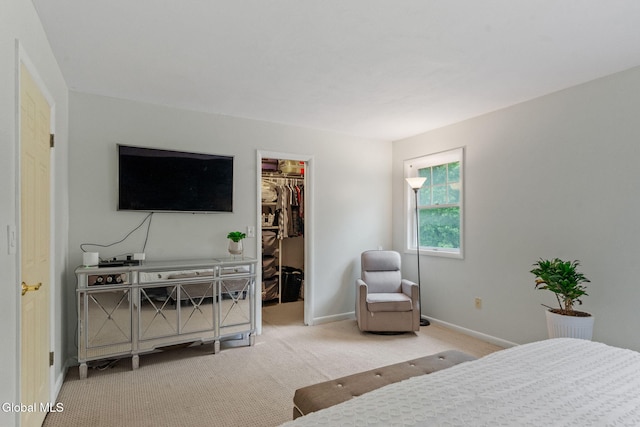8 Cooks Ct, Halfmoon, NY 12188 - photo 19
