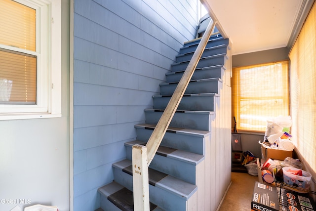 8-10 Spruce St, Rensselaer, NY 12144 - stairs featuring carpet