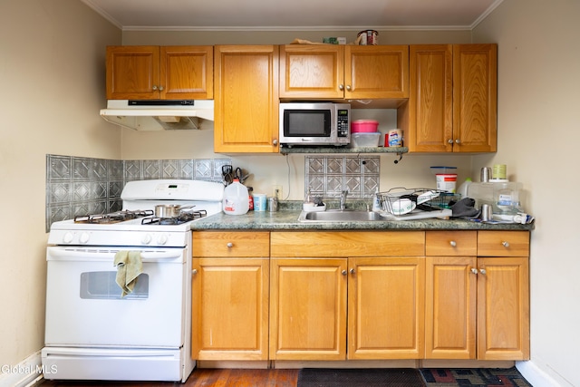 8-10 Spruce St, Rensselaer, NY 12144 - kitchen with gas range gas stove, under cabinet range hood, stainless steel microwave, and crown molding