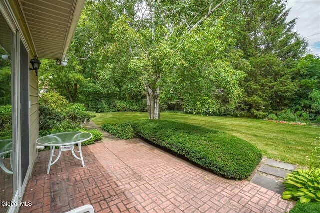 125 Lenox Ave, Albany, NY 12203 - photo 42