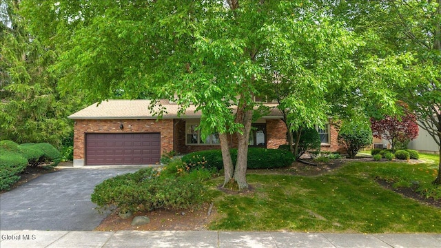 125 Lenox Ave, Albany, NY 12203 - photo 4