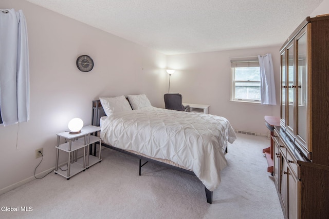 228 Vincenza Ln, Guilderland, NY 12303 - photo 34