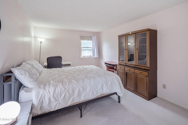 228 Vincenza Ln, Guilderland, NY 12303 - photo 35