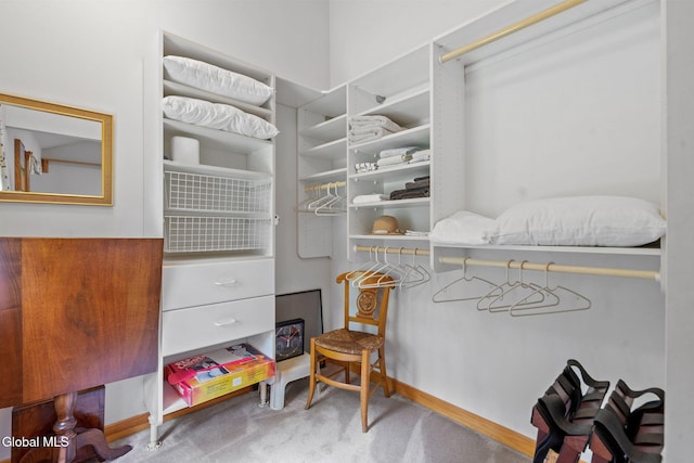 135 Willow St, Guilderland, NY 12084 - spacious closet with carpet flooring