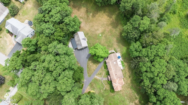 135 Willow St, Guilderland, NY 12084 - aerial overview of property's location