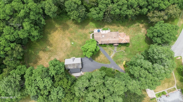 135 Willow St, Guilderland, NY 12084 - aerial view of property and surrounding area