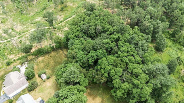 135 Willow St, Guilderland, NY 12084 - aerial view of property's location