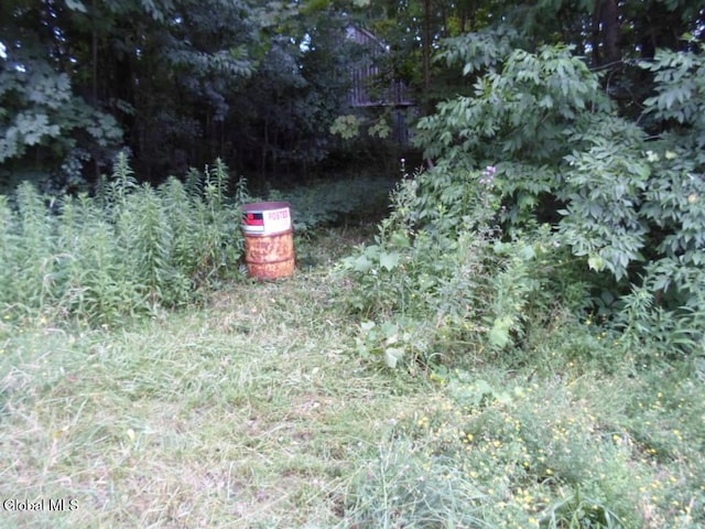 0 Crawford Rd, Rotterdam, NY 12306 - photo 3
