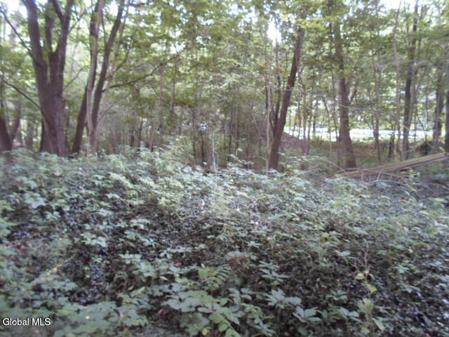 0 Crawford Rd, Rotterdam, NY 12306 - photo 8