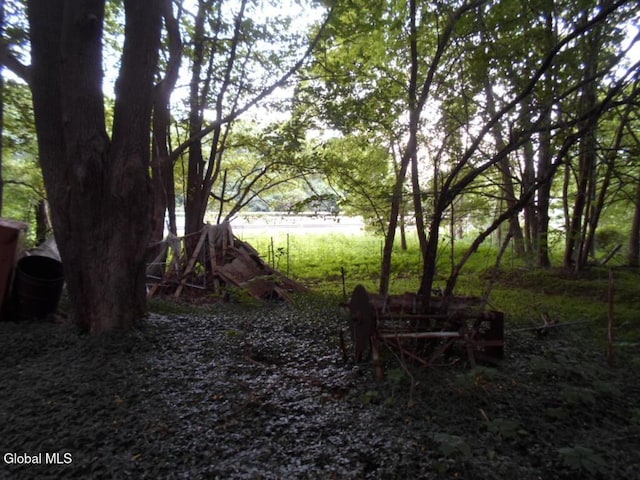 0 Crawford Rd, Rotterdam, NY 12306 - photo 9