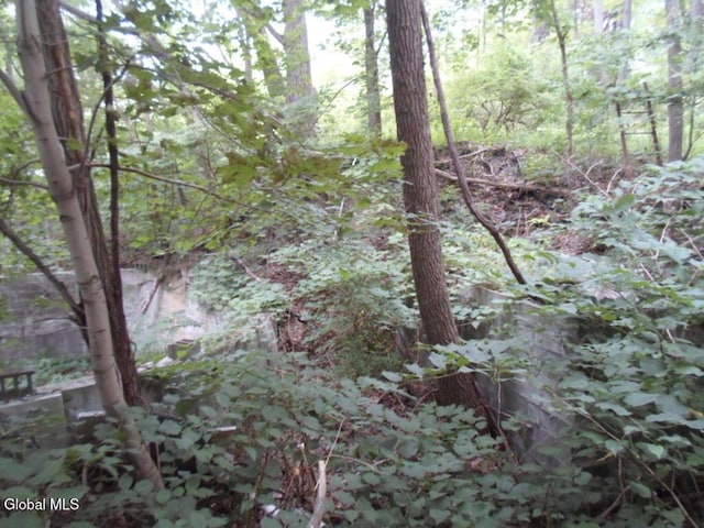 0 Crawford Rd, Rotterdam, NY 12306 - photo 11
