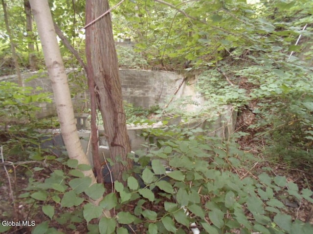 0 Crawford Rd, Rotterdam, NY 12306 - photo 12
