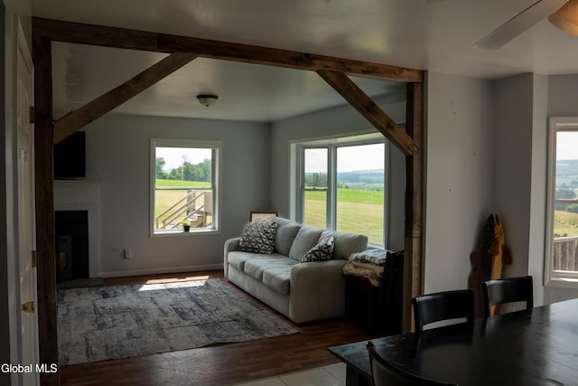367 Buel Rd, Canajoharie, NY 13317 - living room featuring healthy amount of natural light, wood finished floors, a ceiling fan, and a glass covered fireplace