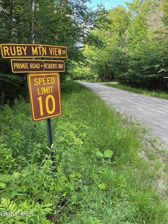 L81.112 Ruby Mountain View Dr, Johnsburg, NY 12856 - photo 2