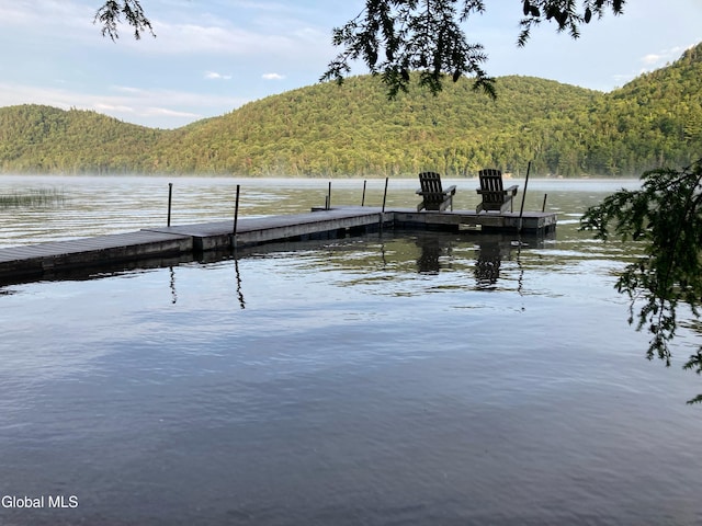 L81.112 Ruby Mountain View Dr, Johnsburg, NY 12856 - photo 6