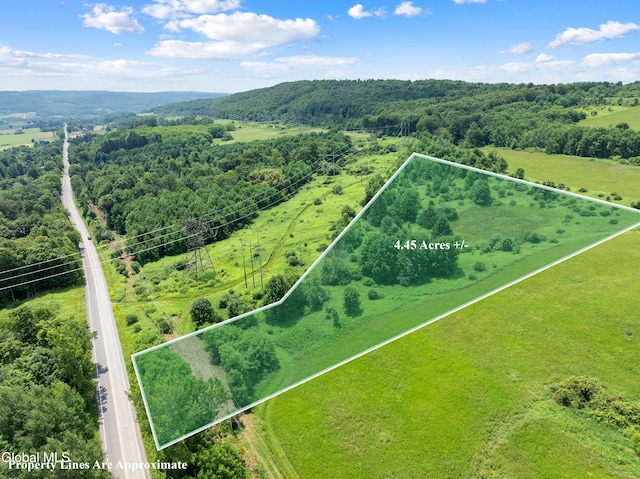 L1.5 Sky High Rd, Tully, NY 13159
