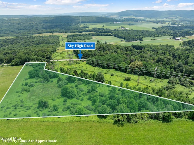 L1.5 Sky High Rd, Tully, NY 13159