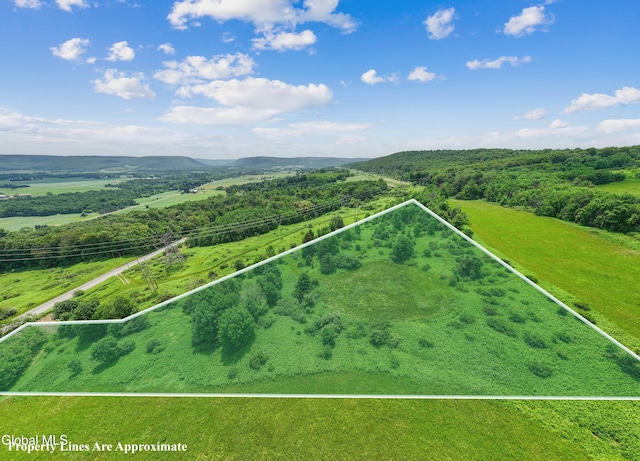 L1.5 Sky High Rd, Tully, NY 13159