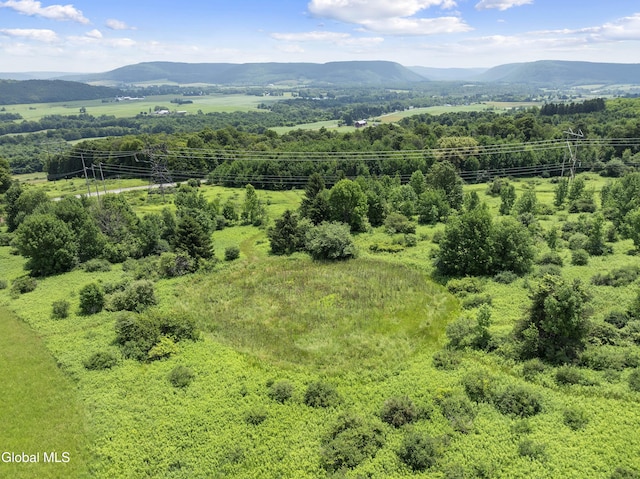 L1.5 Sky High Rd, Tully, NY 13159