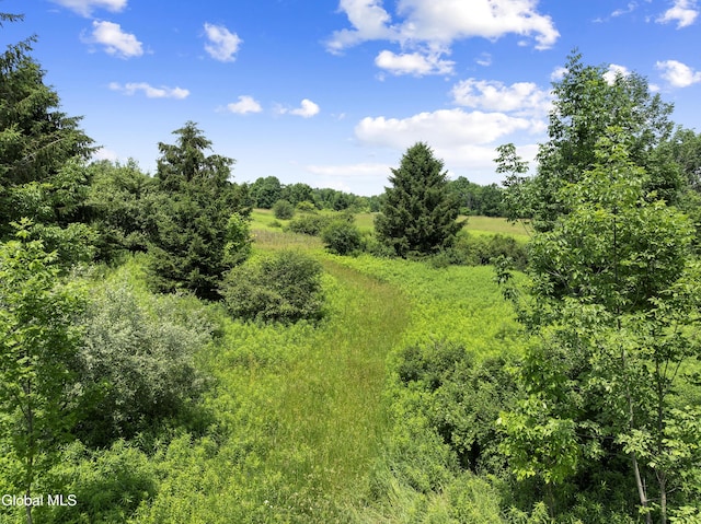 L1.5 Sky High Rd, Tully, NY 13159