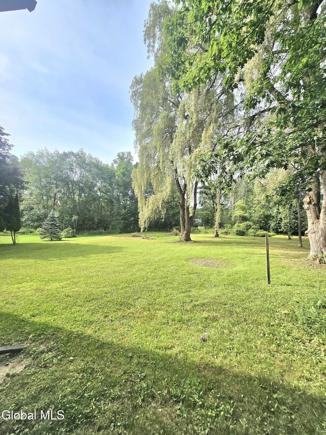 12 Winkel Way, Clifton Park, NY 12019 - view of green lawn