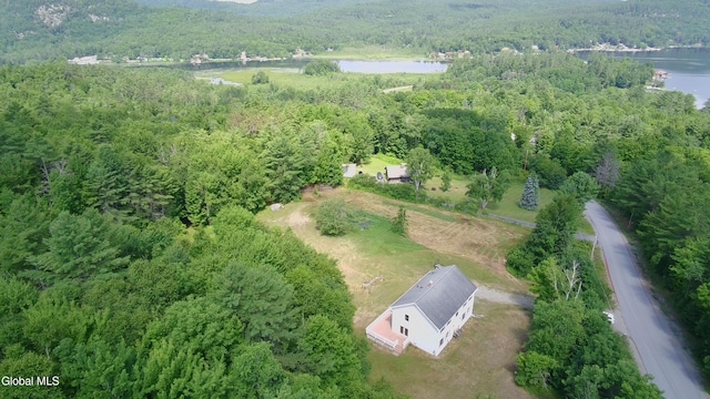 58 Duell Hill Rd, Horicon, NY 12815 - photo 28