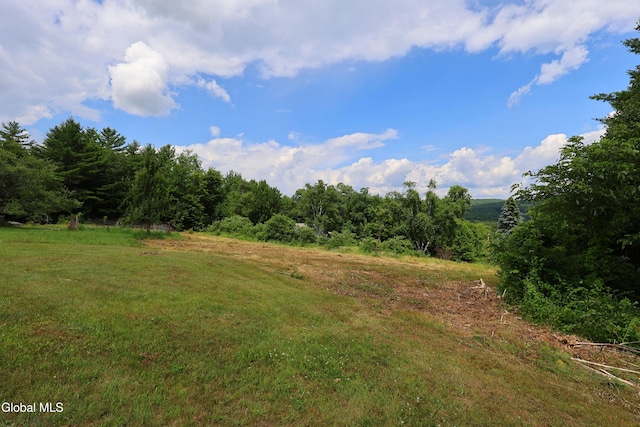 58 Duell Hill Rd, Horicon, NY 12815 - photo 31