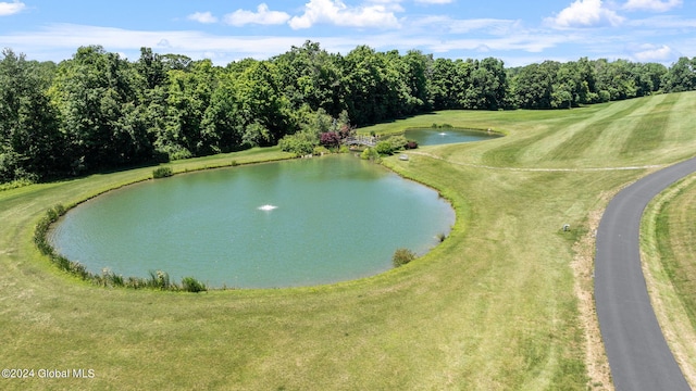 189 Sutherland Rd, Chatham, NY 12184 - photo 119