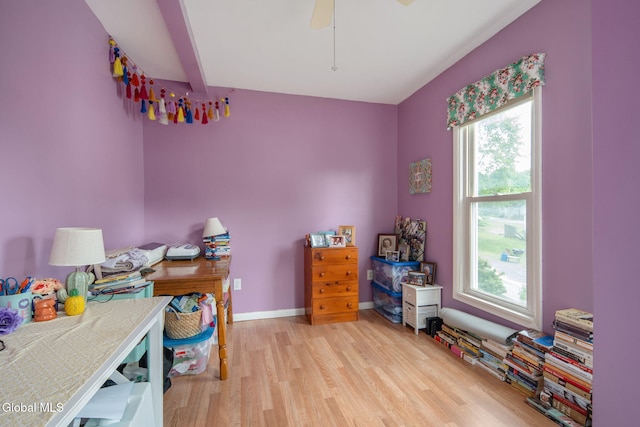 138 Elm St, Cobleskill, NY 12043 - office space featuring light wood-type flooring and a ceiling fan