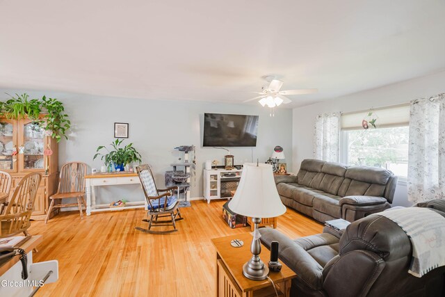 10 Tower Hts, Colonie, NY 12211 - living area featuring a ceiling fan and light wood-style flooring
