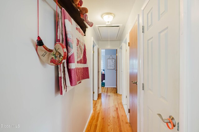10 Tower Hts, Colonie, NY 12211 - hall with attic access and light wood finished floors
