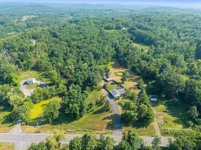 4441 Ny Highway 43, North Greenbush, NY 12144 - photo 56