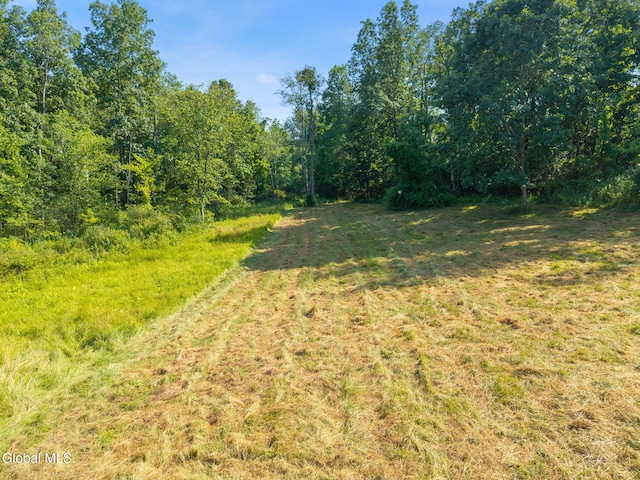4441 Ny Highway 43, North Greenbush, NY 12144 - photo 66