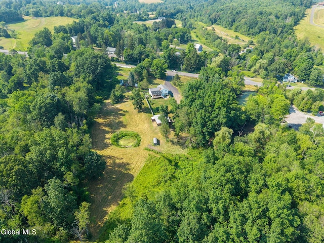 4441 Ny Highway 43, North Greenbush, NY 12144 - photo 68