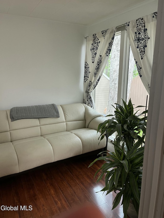 115 Shore Dr, Broadalbin, NY 12025 - living room featuring wood-type flooring