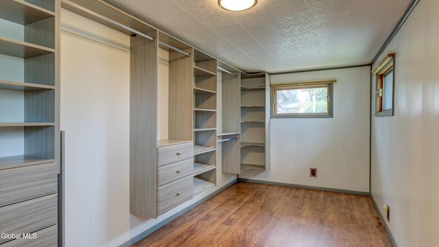 115 Shore Dr, Broadalbin, NY 12025 - walk in closet featuring wood finished floors
