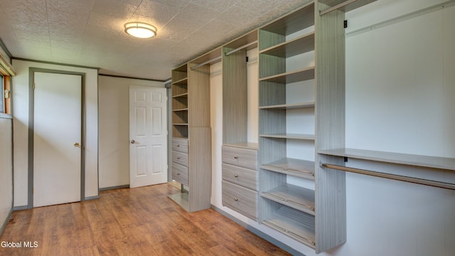 115 Shore Dr, Broadalbin, NY 12025 - walk in closet with wood finished floors