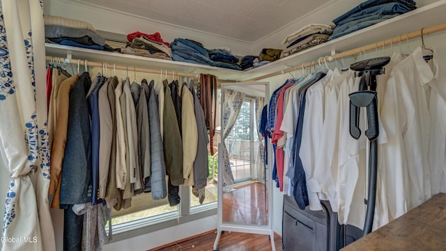 115 Shore Dr, Broadalbin, NY 12025 - spacious closet with wood finished floors