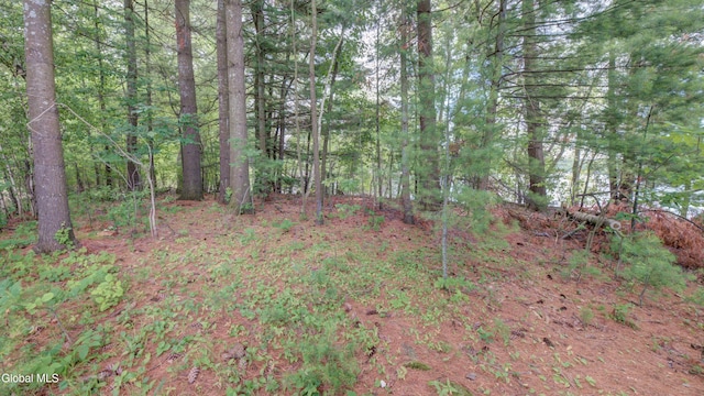 115 Shore Dr, Broadalbin, NY 12025 - view of woods